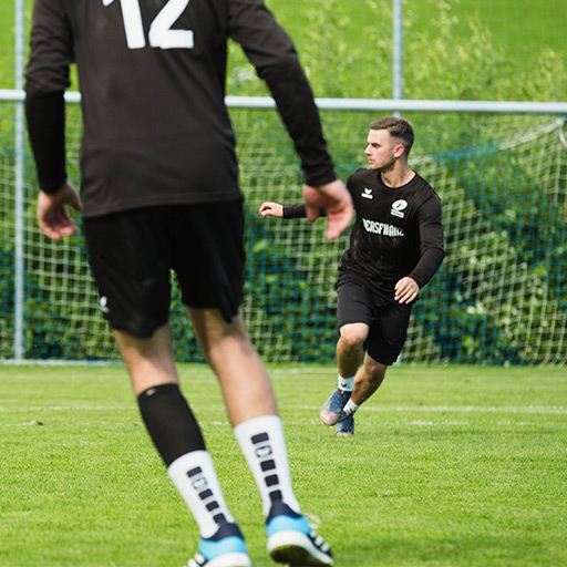 Herren Faustball